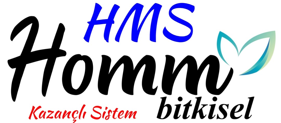 HMS-homm